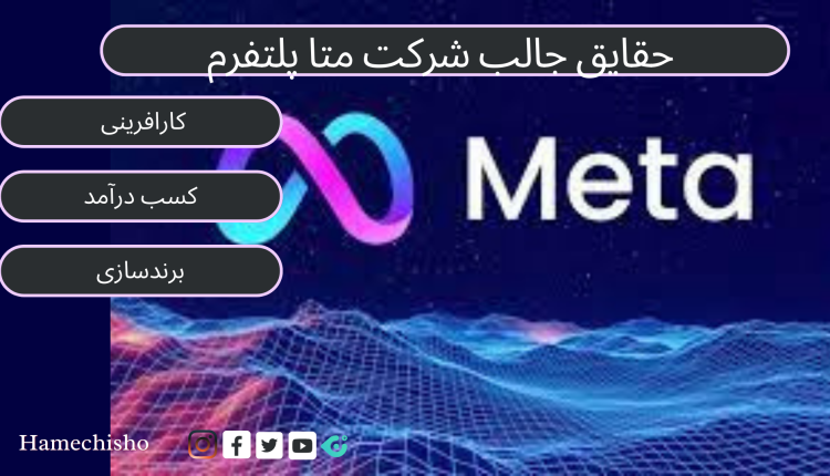 حقایق جالب شرکت متا
